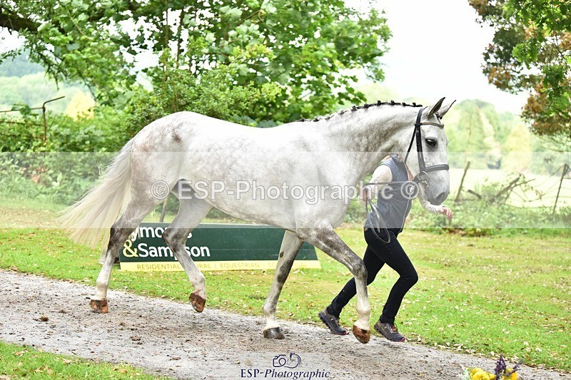 240522-170624-01389 - 283-RETOUCHABLE-Izzy_Taylor