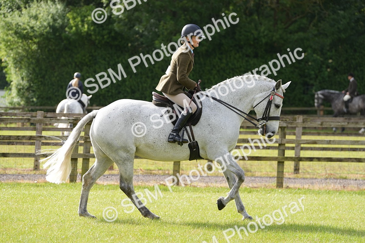 SBM_10582 - Class 97-98 - LIHS BSHA Rising Star Working Show Horse Hunter