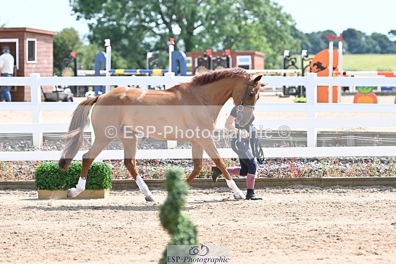 240717A-145955-02417 - Trot Up 2pm to 3pm - This folder is not in time order