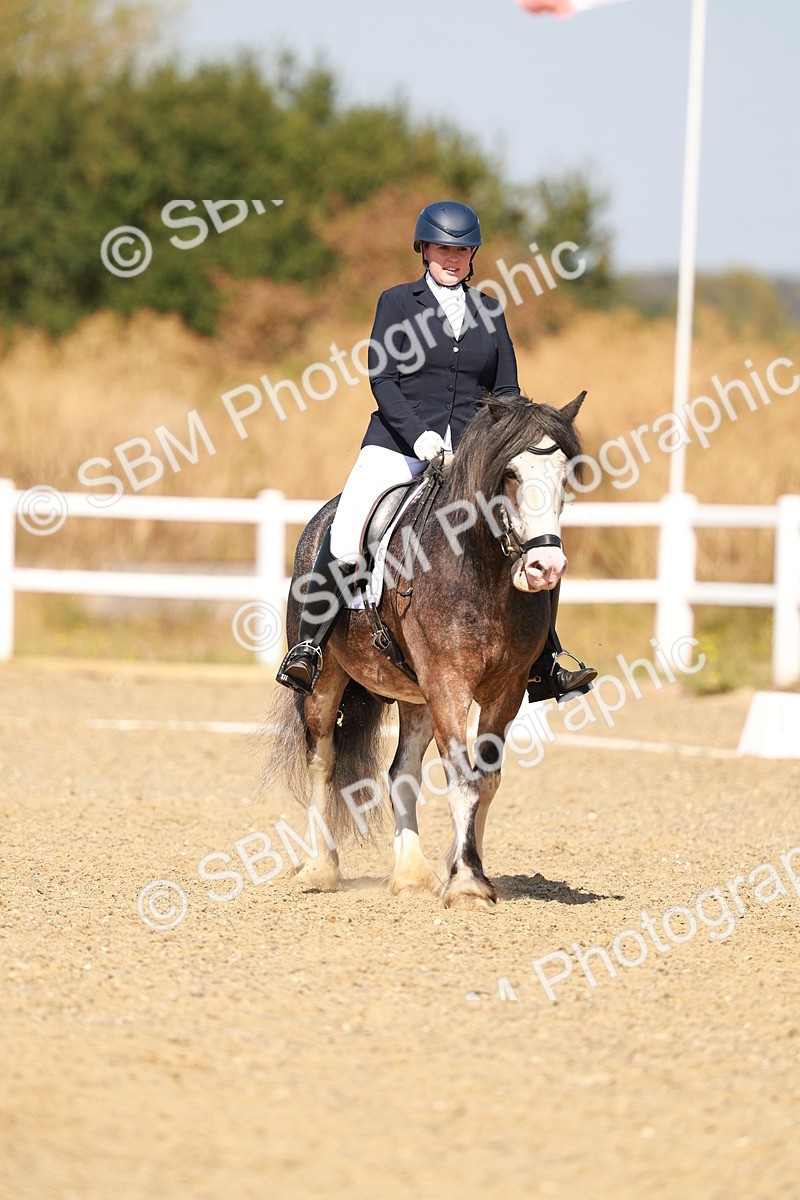 SBM_017808 - Class 9 - N5 Bronze 10.33.11.36