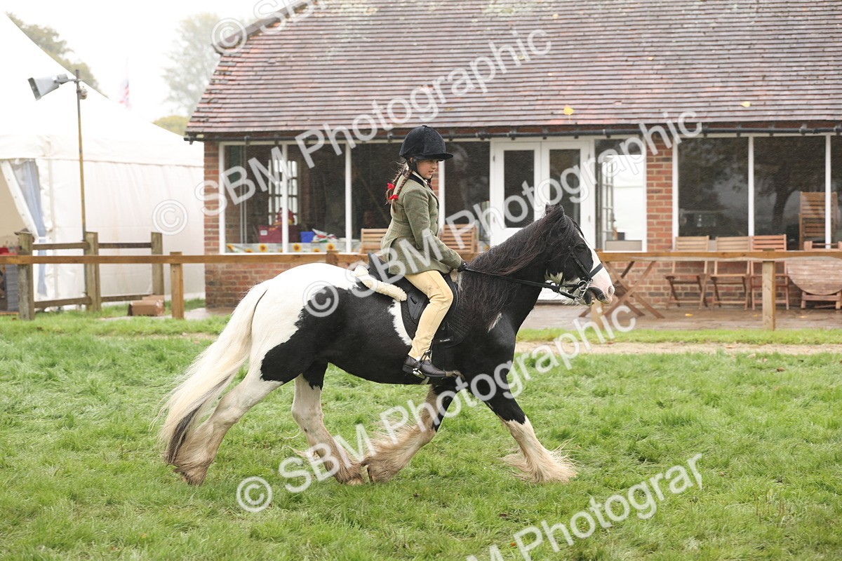 SBM_72841 - S70 - Traditional Cob Ridden