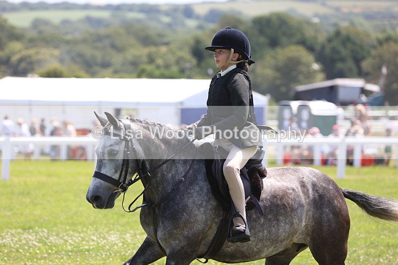JPP_2598 - Class 21: Working Hunter 60cm