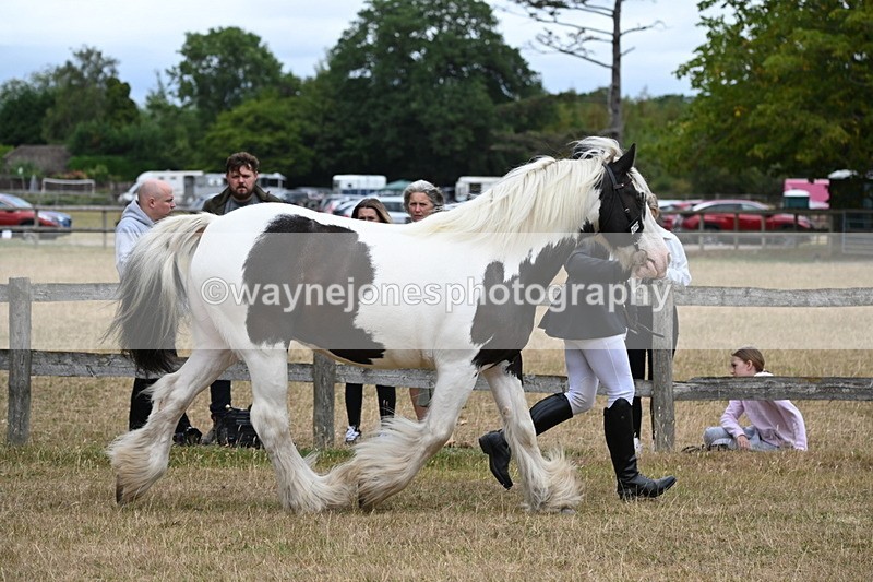 WJ6_8354 - Class 10 Coloured in Hand
