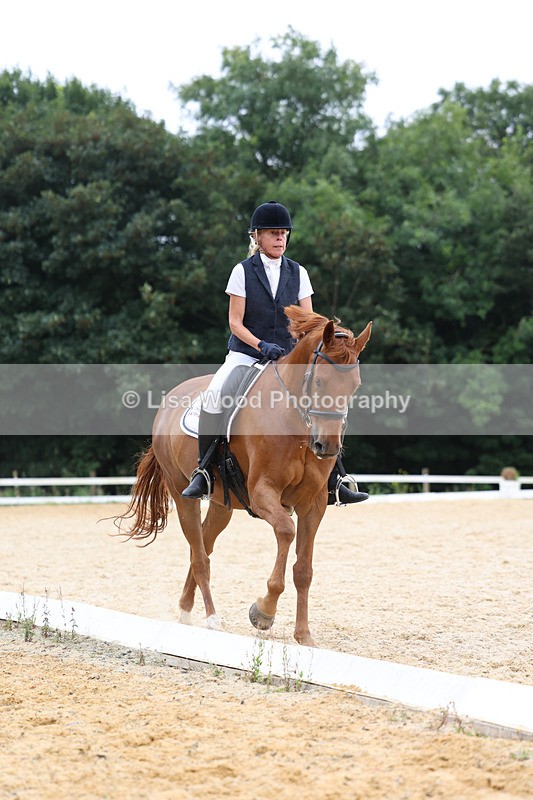 3E7A7234 - Class 9: Elementary 4 2024 - No sections