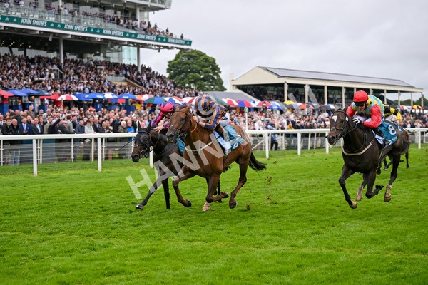 130724-Race 6-Zimmerman-7699 - Race 6 4.50pm John Smith's Stayers' Handicap