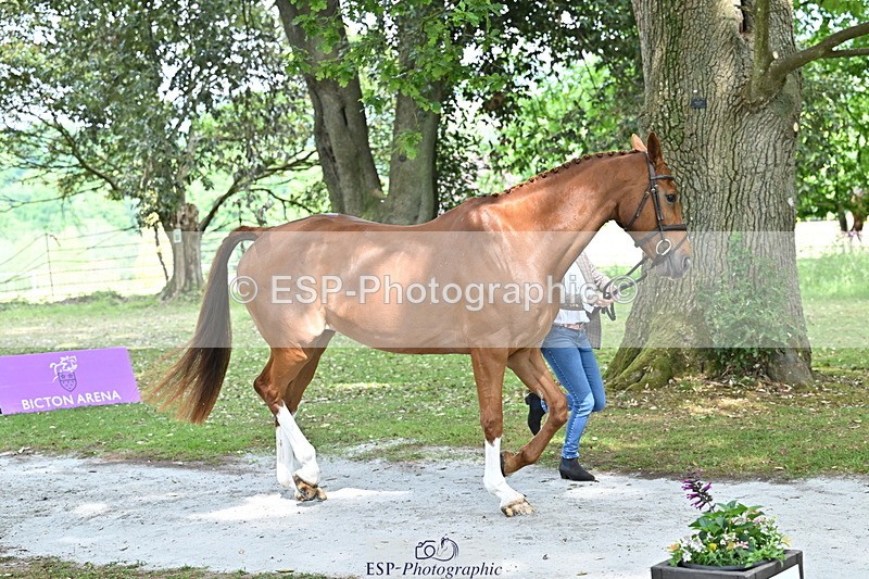 250521A-151922-00422 - B-307-Rosalind.Canter-SILVESTERS.FINESSE