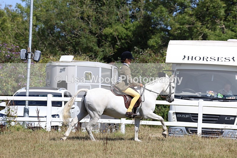 3E7A6356 - Working Hunter Championship