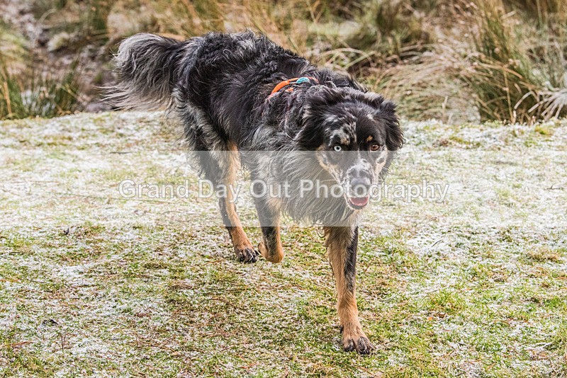 Clough Head-800 - Kong Clough Head Fell Race Saturday 2nd December 2023