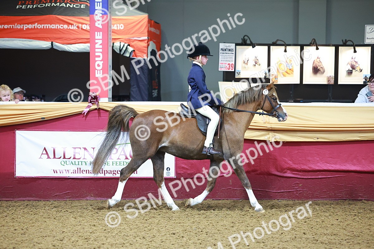 SBM_14561 - Class A - Junior Champ 10 year and Under