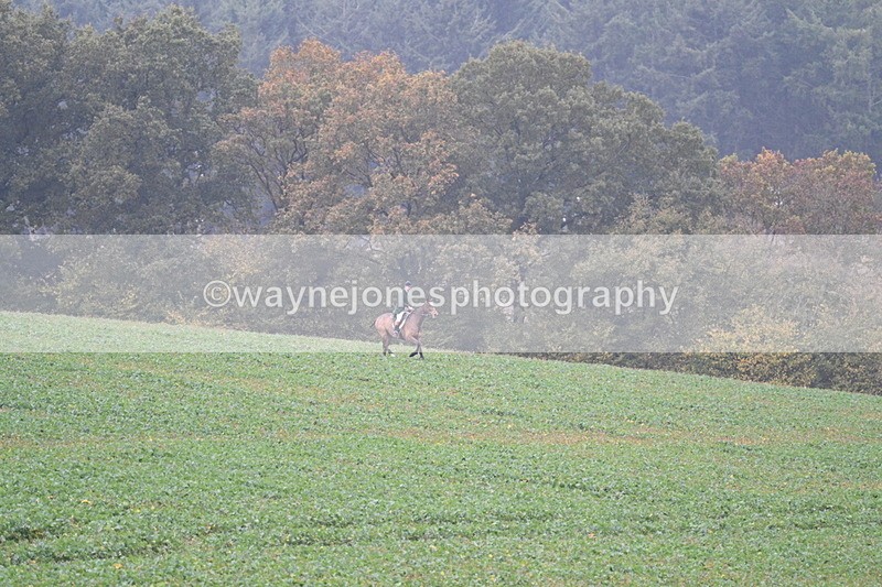 WJ7_8872 - Camera 1 only on this line