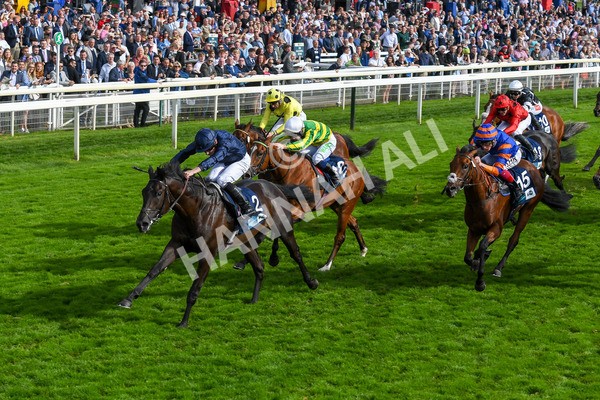 250823-Race 6-Battle Cry-1045 - Race 6 4.45pm British EBF 40th Anniversary Convivial Maiden Stakes