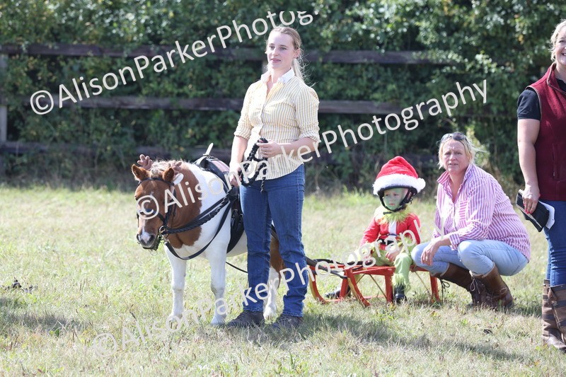 20250831-3497 - Class 26 - Fancy Dress