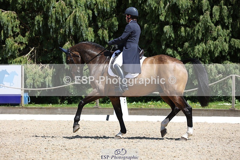 230526-135338-06415 - 369-GIDO_G-Sally_Chamberlain-WEDTrotUp+DR