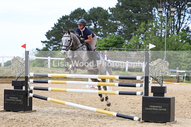 3E7A7413 - Class 8: Senior Foxhunter/1.20 open