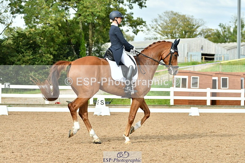 230912A-163127-01790 - Cls 18 FEI PSG