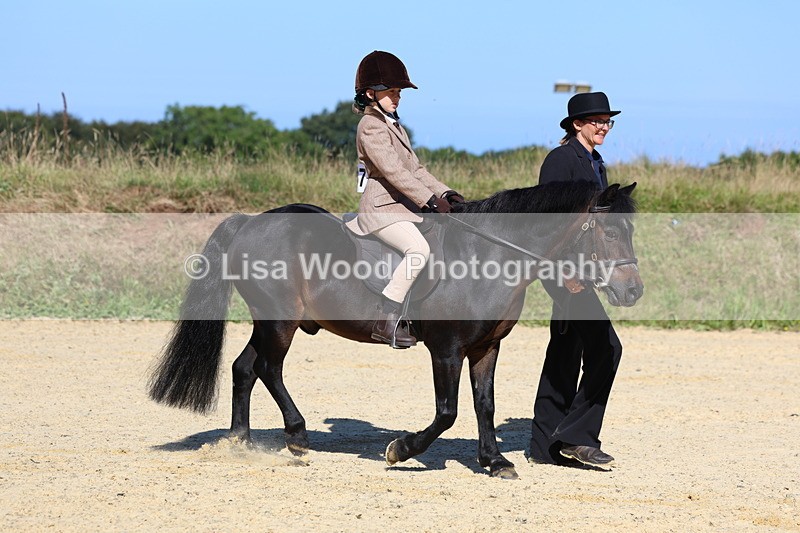 3E7A8002 - Class 15: Lead Rein