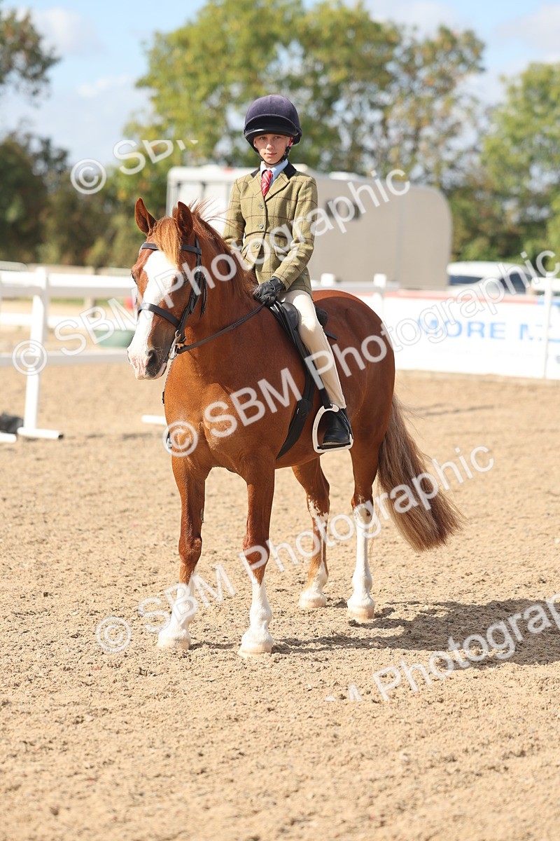 SBM_23151 - Class 806 - Young Rider 10ry and Under