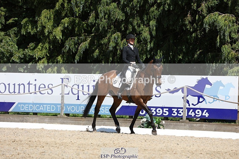 230526-142009-06499 - 373-BENGAL_LORE-Pippa_Taylor-WEDTrotUp+DR