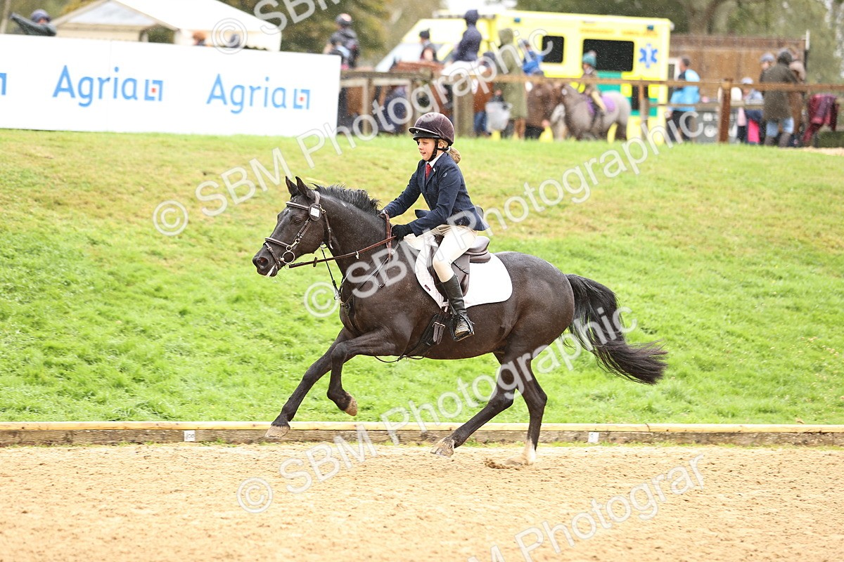 SBM_69979 - Supreme Championship 80cm 85cm