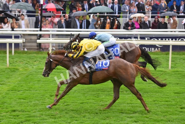 yr21082021r4-79 - Race 4 3.35pm Sky Bet Ebor