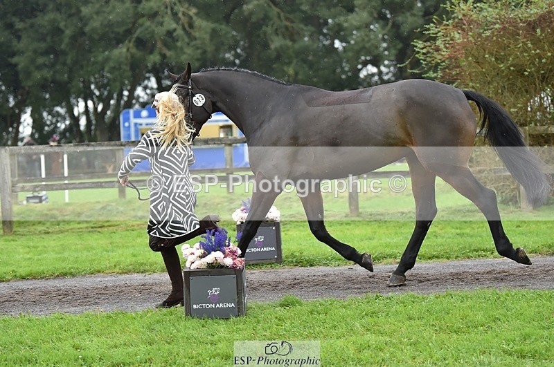 231018-124354-00481 - 073-ORNETA-Lisa.Maynard-TrotUp