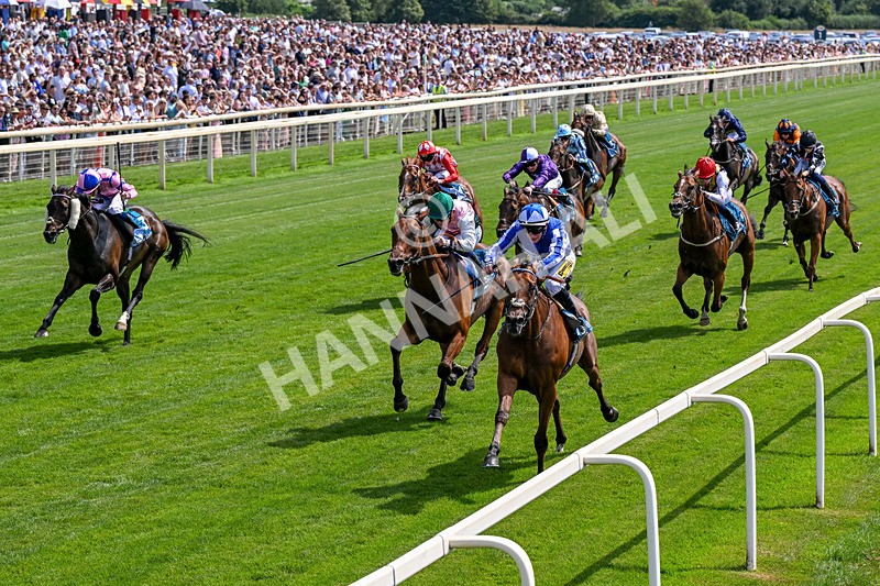 110726-Race 2-The Lost King-0136 - Race 2 14.39pm John Smith's Racing Handicap