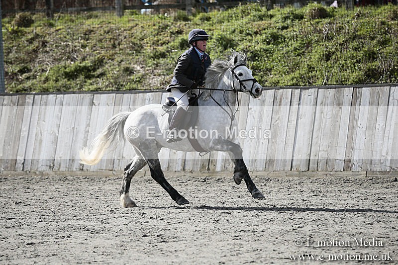 BVRC SJ 170319 415 - Bourne Valley Riding Club Showjumping 17/03/19