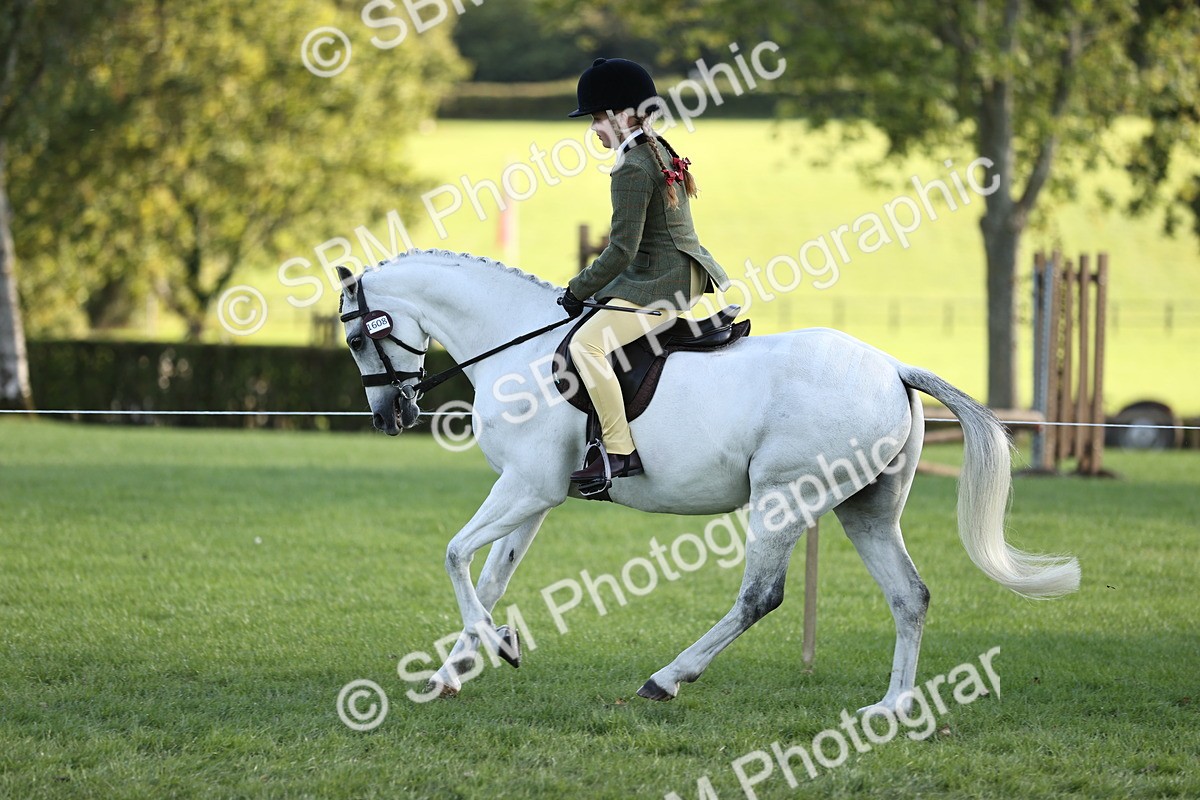 SBM_29459 - S7 - Novice & Newcomers Ridden Pony