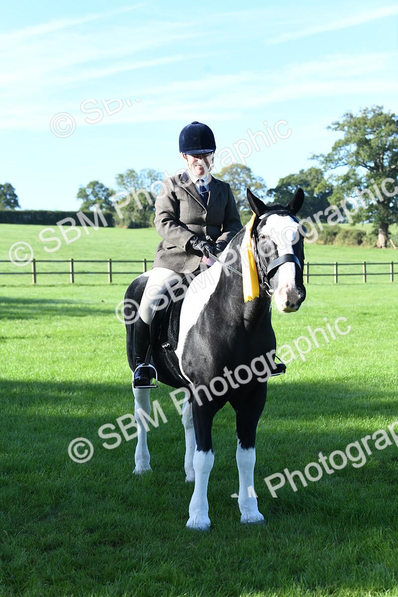 SBM_34105 - S16 - Condition & Turnout - Ridden