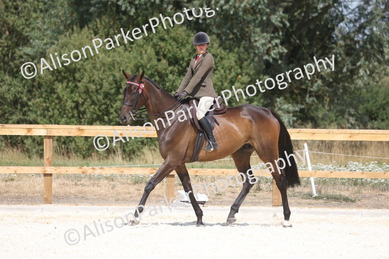 20260802-0731 - Class 8 - Best Riding Horse or Pony