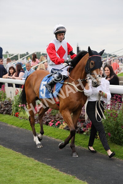 yr24072021r5-29 - Race 5 4.25pm Sky Bet Best Odds Guaranteed Stakes