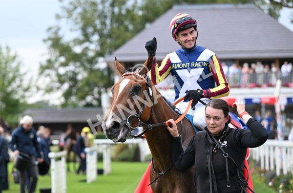 230825-294 Dain Ma Nut In - Race 7 5.20pm Sky Bet Steve Birch Finale Handicap