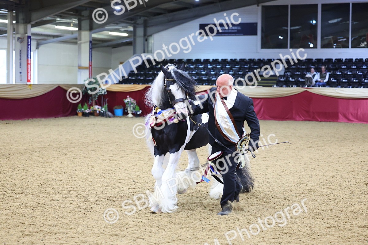 SBM_18667 - Class C Best Turned Out Champ