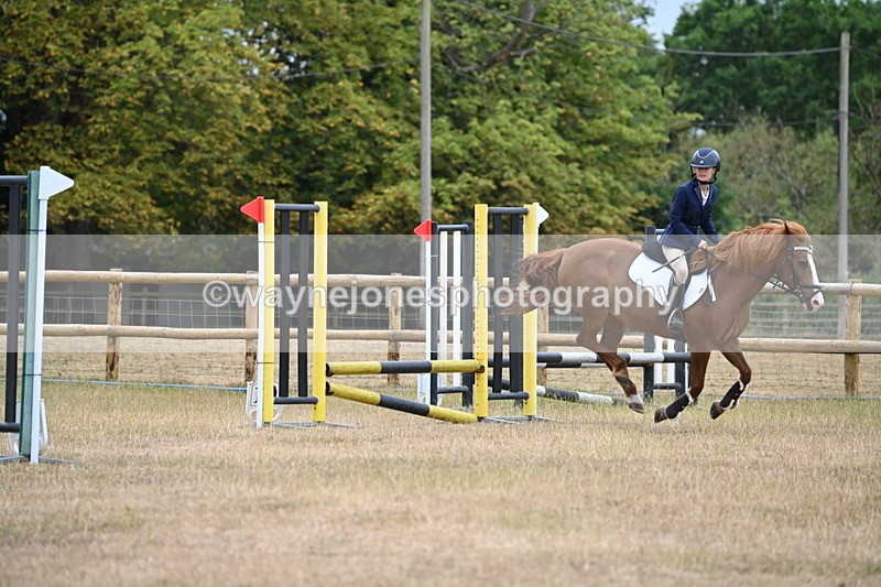 WJ6_0224 - Class 13 Novice Jumping 60cm