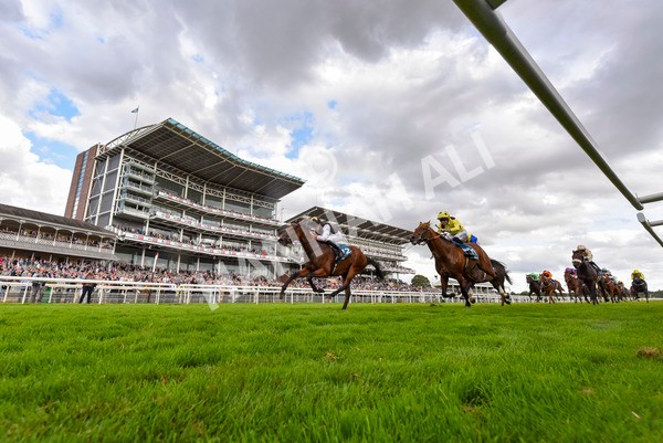 230824-Race 7-Treasure Time-4413 - Race 7 5.20pm Sky Bet Mile Handicap
