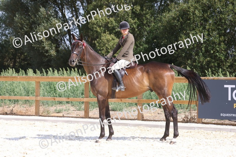 20260802-0727 - Class 8 - Best Riding Horse or Pony