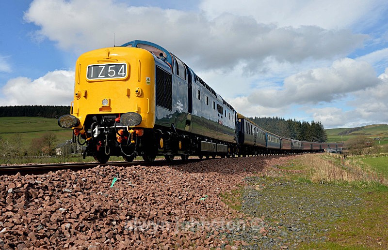  - WAVERLEY LINE 2012-2015