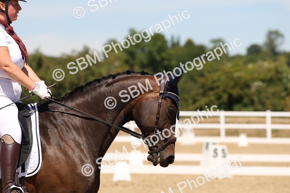 SBM_002758 - Elementary 4