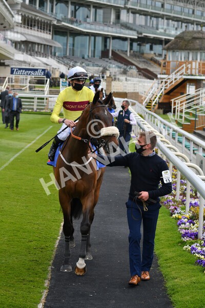 yr12052021r1-26 - Race 1 1.40pm Sky Bet Race to the Ebor Jorvik Stakes