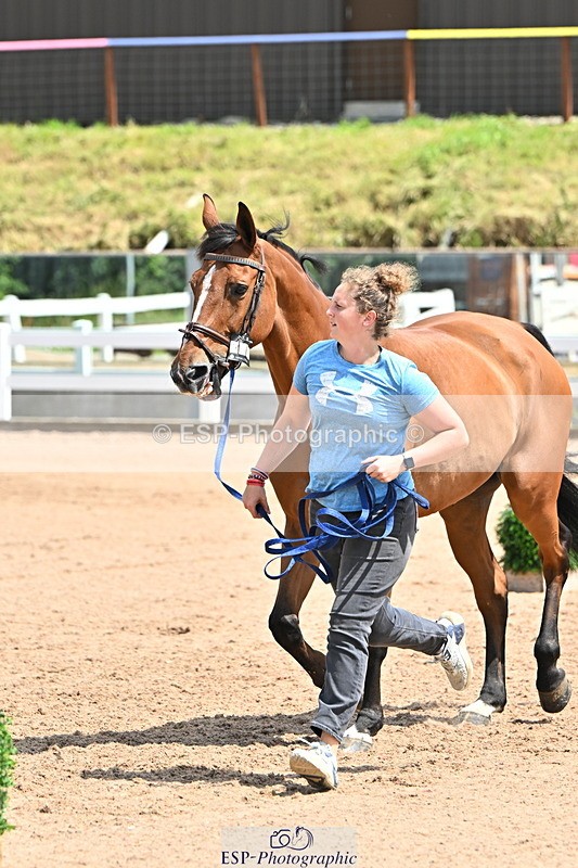 240718A-105310-01645 - Trot Up 1pm to 2pm