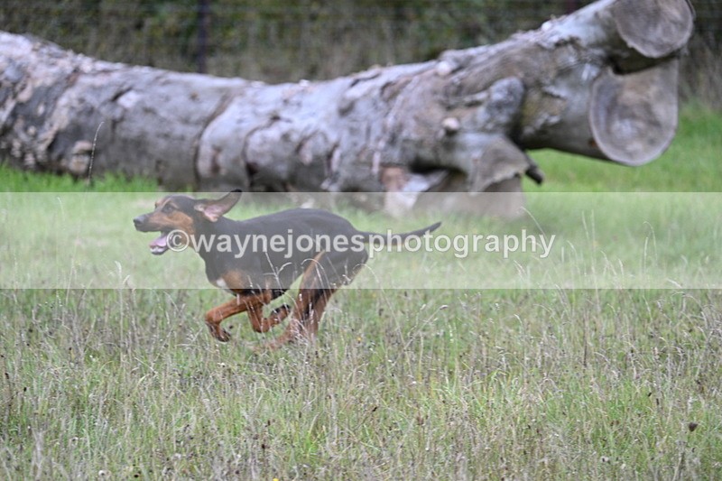 WJ7_3533 - Camera 1 Line 1