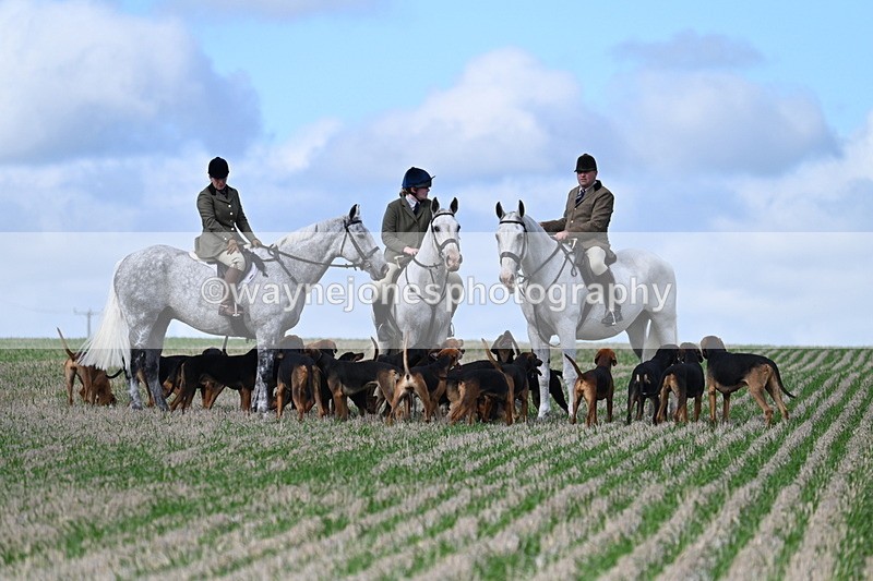 WJ7_5902 - Line One