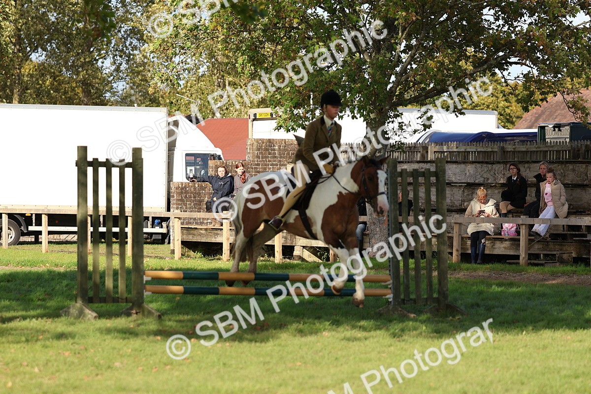 SBM_52507 - S13 - Pony Club Pony