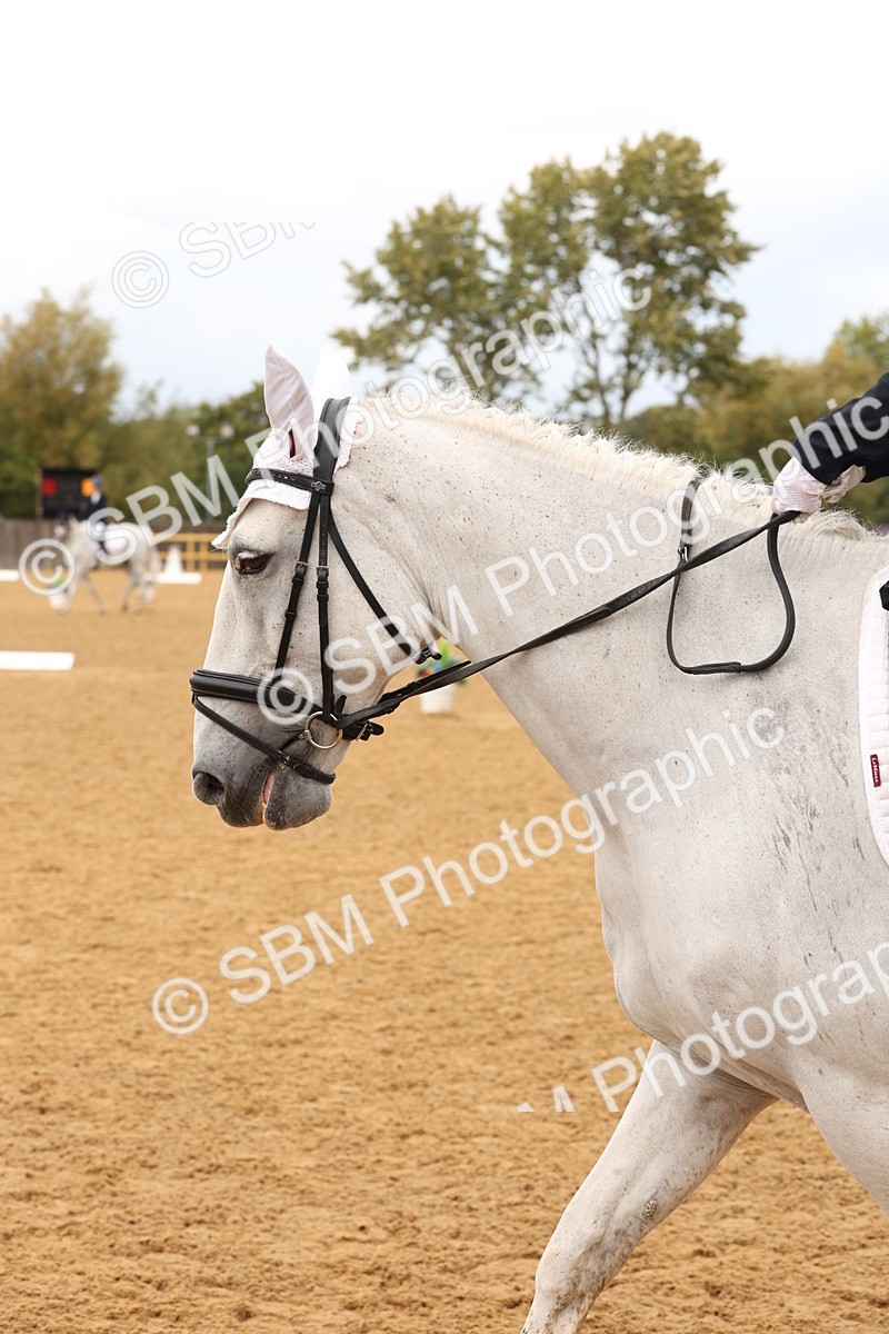 SBM_44159 - D6 - Small Tour Championship Intro 4