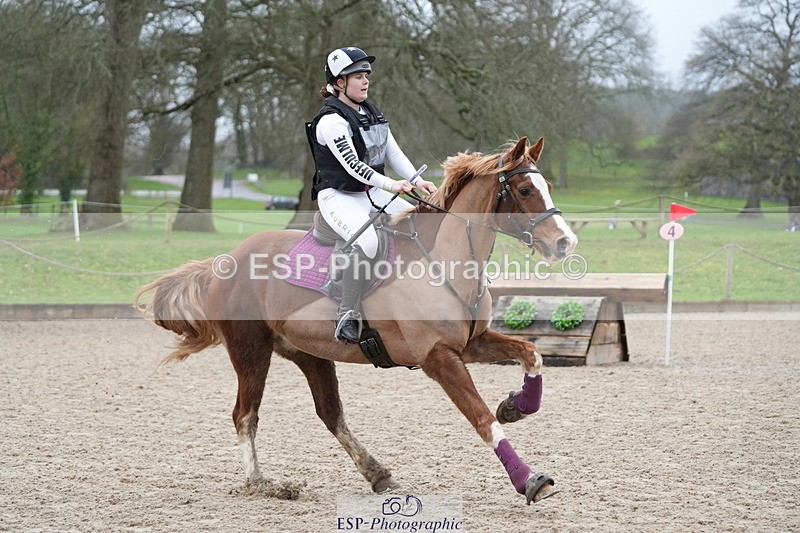 260301A-110826-01874 - NSEA 80-85cm