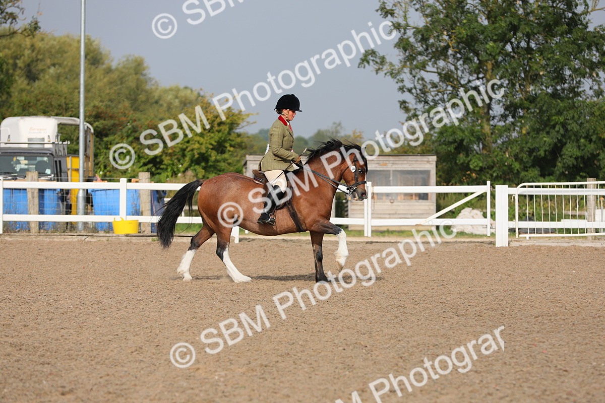 SBM_10187 - Class 302 Ridden M&M -Large Breeds