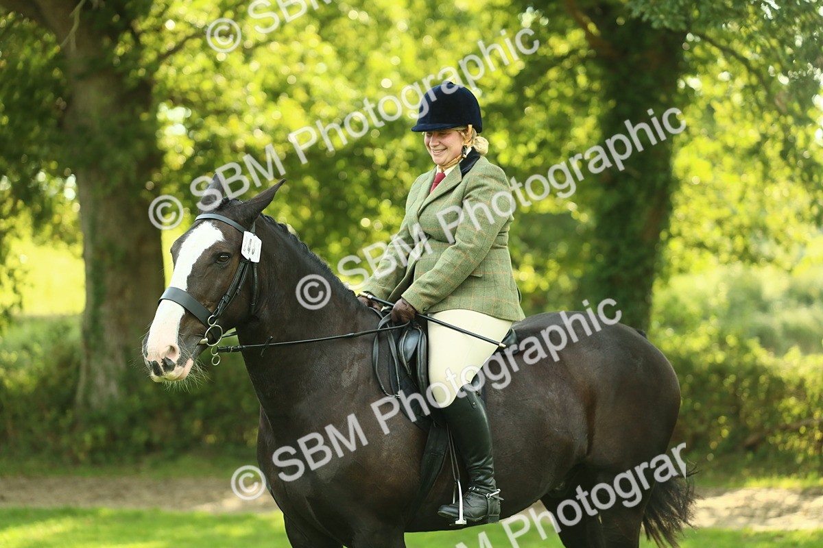 SBM_52170 - S33 - Working Hunter & Working Show Horse