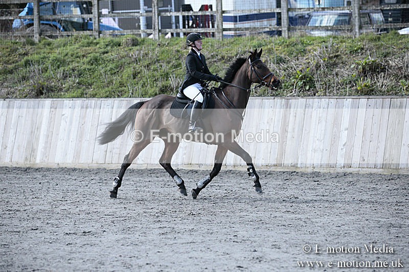BVRC SJ 170319 275 - Bourne Valley Riding Club Showjumping 17/03/19