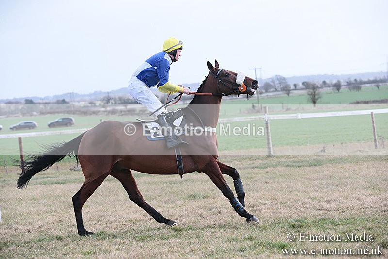 PtP 270119 322 - Cocklebarrow Races 27/01/19
