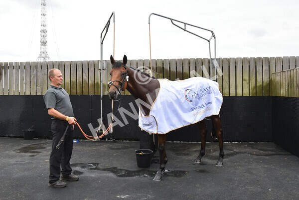 yr20082021r3-49 - Race 3 3.00pm Al Basti Equiworld Dubai Gimcrack Stakes
